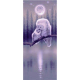 Full Large Diamond Painting kit - Owl mother and child