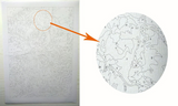 DIY Painting by number kit | Beautiful flower between the stones