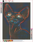 Full Diamond Painting kit - Hairless cat
