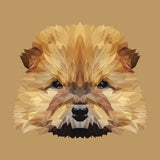 Full Diamond Painting kit - Cute chow