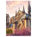 Full Diamond Painting kit - Cath¨¦drale Notre Dame de Paris