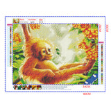 Full Diamond Painting kit - Cute orangutan