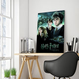 Full Diamond Painting kit - Harry Potter