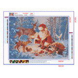 Full Diamond Painting kit - Santa and his animals
