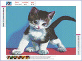 Full Diamond Painting kit - Cute kitten