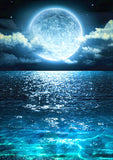 Full Diamond Painting kit - Sea under the big moon