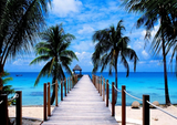 Full Diamond Painting kit - Sea plank road