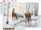 Full Diamond Painting kit - Horses