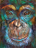 Full Diamond Painting kit - Apes