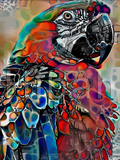 Full Diamond Painting kit - Parrot
