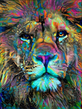 Full Diamond Painting kit - Lion