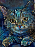 Full Diamond Painting kit - Cat
