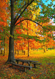 Full Diamond Painting kit - Autumn scenery