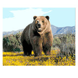 DIY Painting by number kit | Black bear