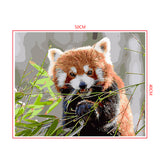 DIY Painting by number kit | Animal Raccoon