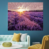 DIY Painting by number kit | Lavender Garden
