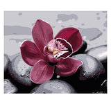 DIY Painting by number kit | Beautiful flower between the stones