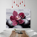 DIY Painting by number kit | Beautiful flower between the stones