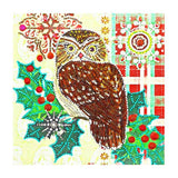 Crystal Rhinestone Diamond Painting Kit - Animal owl - Hibah-Diamond painting art studio