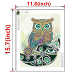 Crystal Rhinestone Diamond Painting Kit - Animal Owl - Hibah-Diamond painting art studio