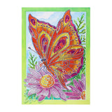 Crystal Rhinestone Diamond Painting Kit - butterfly - Hibah-Diamond painting art studio