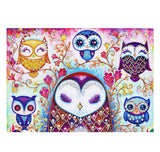 Crystal Rhinestone Diamond Painting Kit - Cartoon Owl (16x20inch)