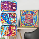 Crystal Rhinestone Diamond Painting Kit - Cartoon Owl - Hibah-Diamond painting art studio