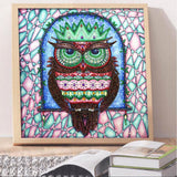 Crystal Rhinestone Diamond Painting Kit - Cartoon Owl - Hibah-Diamond painting art studio