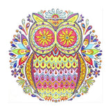 Crystal Rhinestone Diamond Painting Kit - Owl - Hibah-Diamond?painting art studio