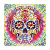 Crystal Rhinestone Diamond Painting Kit | Skull - Hibah-Diamond?painting art studio