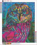 Full Diamond Painting kit - Owl