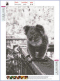 Full Diamond Painting kit - Cute koala