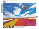 Full Diamond Painting kit - Hot air balloon in the garden