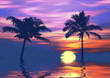 Full Diamond Painting kit - Coconut tree at sea