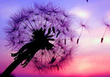 Full Diamond Painting kit - Romantic dandelion