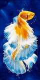 Full Diamond Painting kit - Cute goldfish